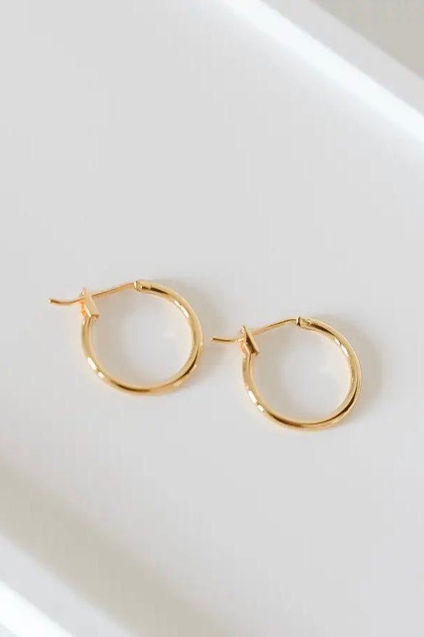 Bella Rey Jewelry small gold hoop earrings