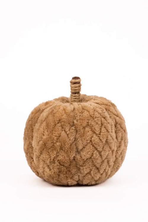 pumpkin decor thanksgiving halloween autumn