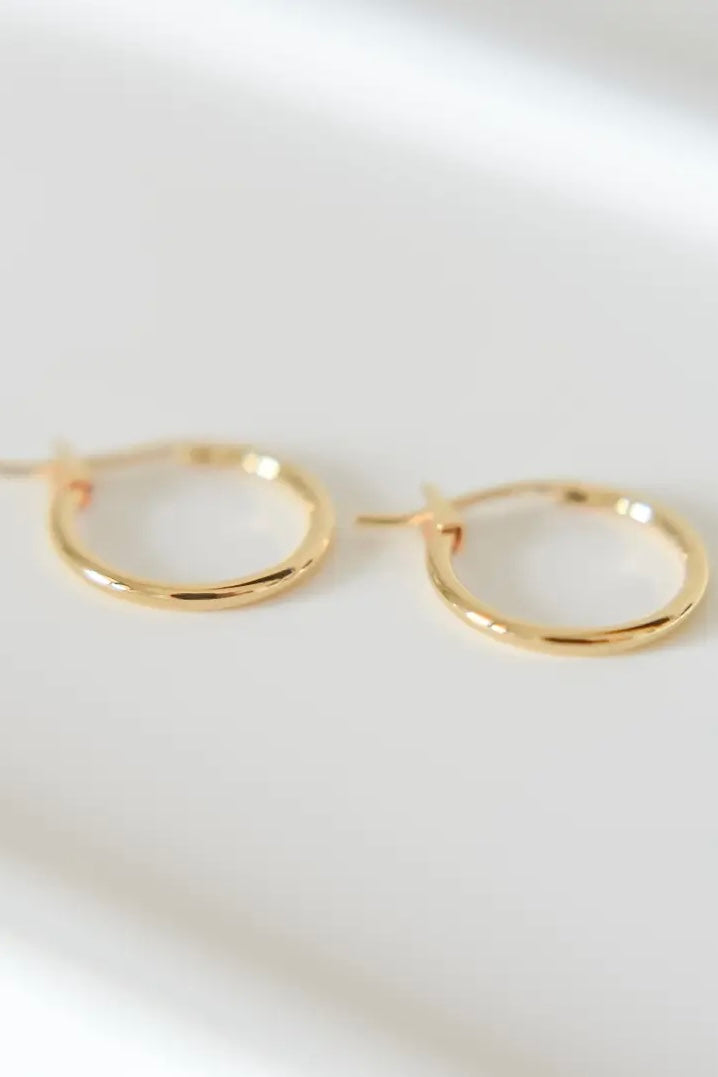 Bella Rey Jewelry small gold hoop earrings